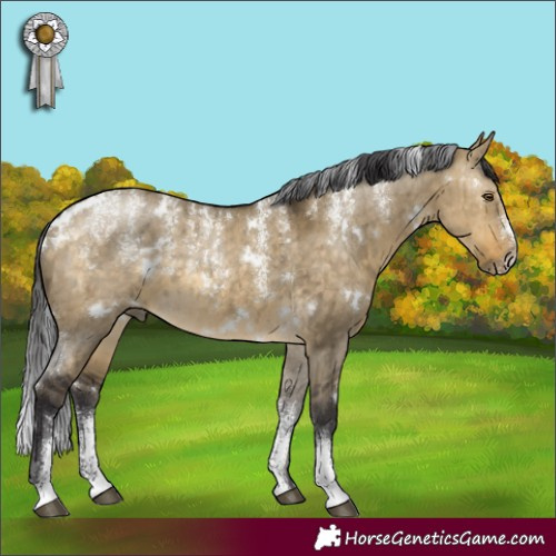 Horse Color:Powder White White Spotted Buckskin Dun Brindle 