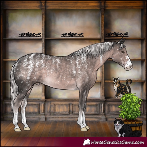 Horse Color:Powder White Platinum Chocolate Palomino Appaloosa Rabicano 