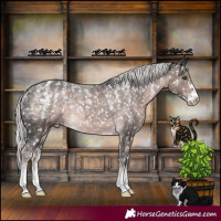 Horse Color:Powder White Platinum Chocolate Palomino Appaloosa Rabicano 