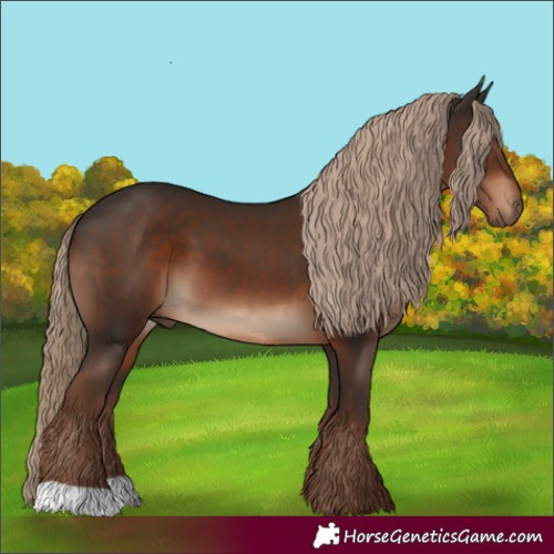 Horse Color:Liver Chestnut 