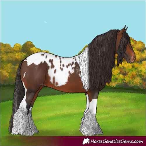 Horse Color:Brown Tobiano Skewed LP Spotted