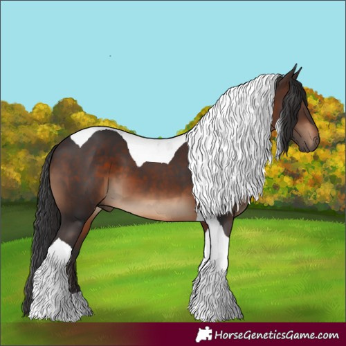 Horse Color:Brown Tobiano