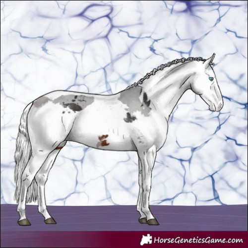 Horse Color:Brown Merle Tobiano Varnish 