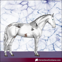 Horse Color:Brown Merle Tobiano Varnish