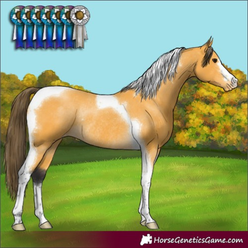 Horse Color:Buckskin Tobiano Varnish Rabicano 