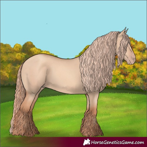 Horse Color:Gold Champagne Dun