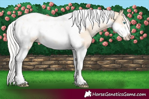 Horse Color:Silver Amber Cream Champagne Pearl Tobiano Frame Rabicano 