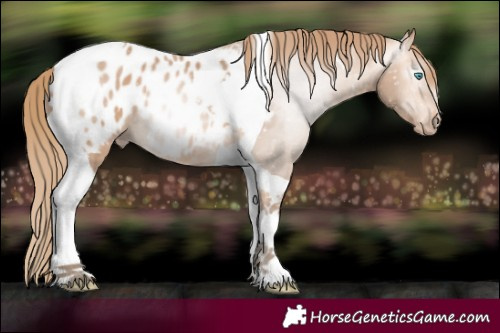 Horse Color:Gray Perlino Mushroom Tobiano Blanket 