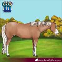 Horse Color:Silver Black Pearl Sabino