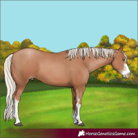 Horse Color:Silver Black Pearl Sabino