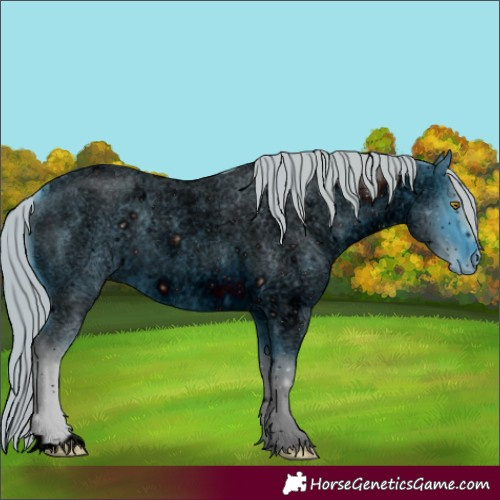 Horse Color:ERROR: UNKNOWN ANOMALY