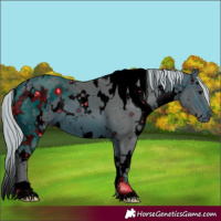 Horse Color:ERROR: UNKNOWN ANOMALY