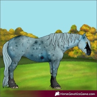 Horse Color:ERROR: UNKNOWN ANOMALY