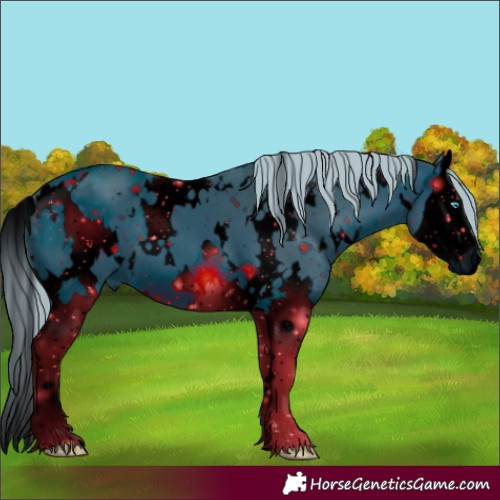 Horse Color:ERROR: UNKNOWN ANOMALY