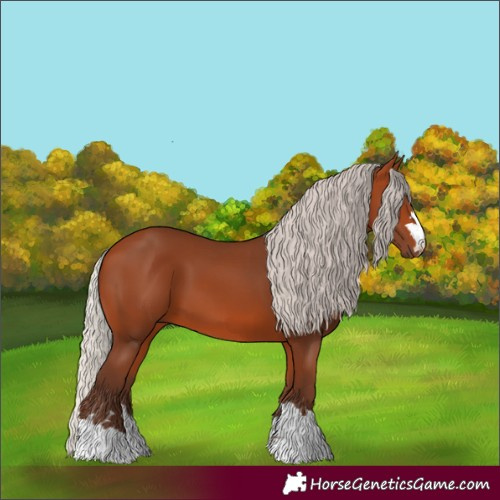 Horse Color:Silver Bay
