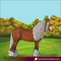 Horse Color:Silver Bay