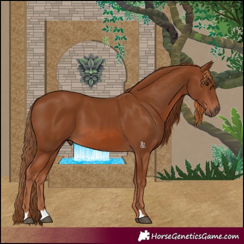 Horse Color:Chestnut 