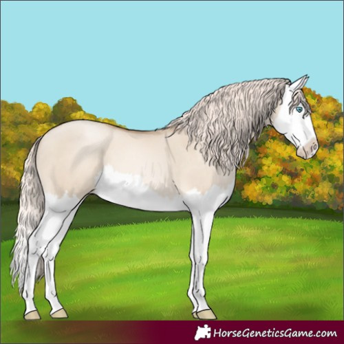 Horse Color:Chocolate Palomino Pearl Dun Splash 