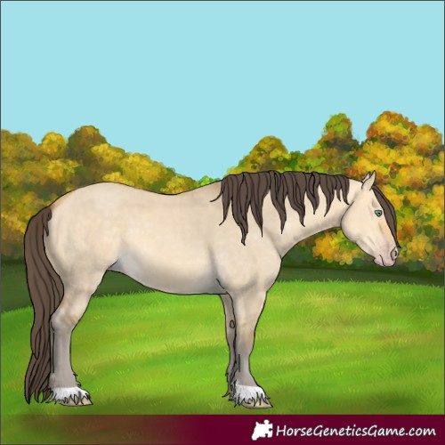Horse Color:Amber Cream Champagne Dun 