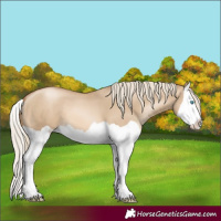 Horse Color:Chocolate Palomino Pearl Dun Splash 