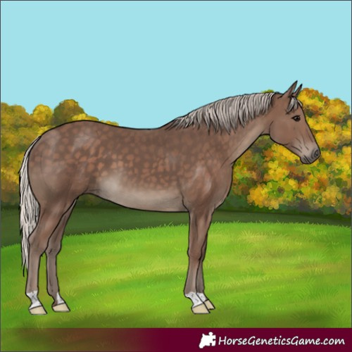 Horse Color:Silver Black 