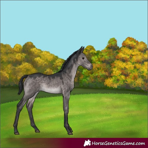 Horse Color:Platinum Brown Dun