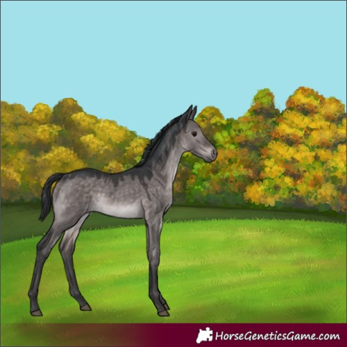 Horse Color:Platinum Brown Dun