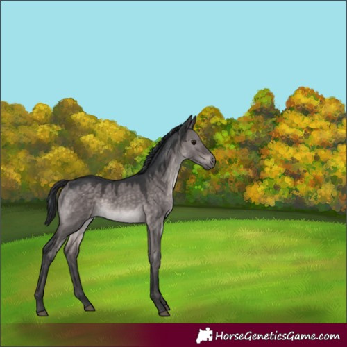 Horse Color:Platinum Brown Dun 