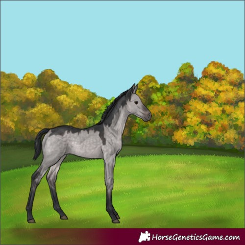 Horse Color:Platinum Brown Dun
