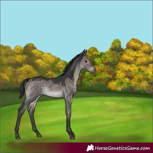 Horse Color:Platinum Brown Dun 