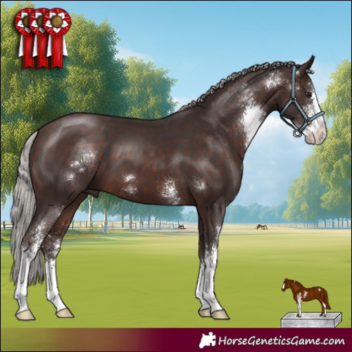 Horse Color:Silver Brown Sabino 