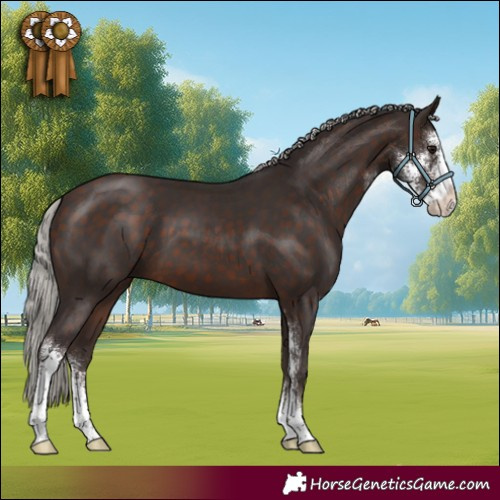 Horse Color:Silver Brown Sabino 