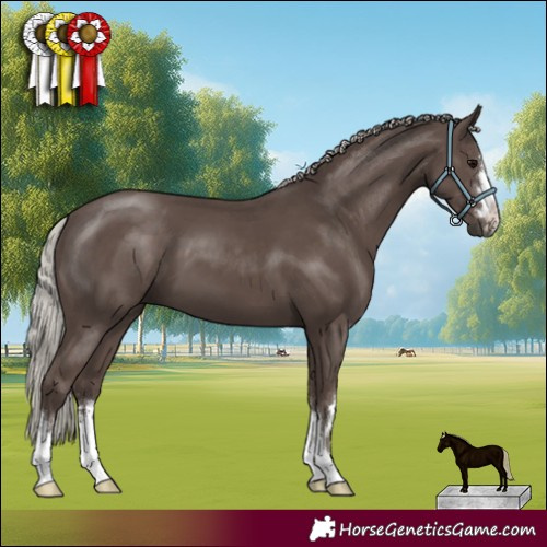 Horse Color:Silver Black 