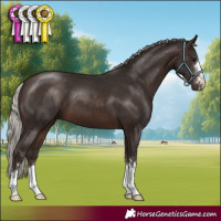 Horse Color:Silver Brown