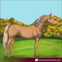 Horse Color:Chestnut Frame 