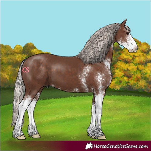 Horse Color:Silver Black Sabino