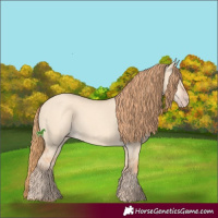 Horse Color:Gold Champagne Dun 