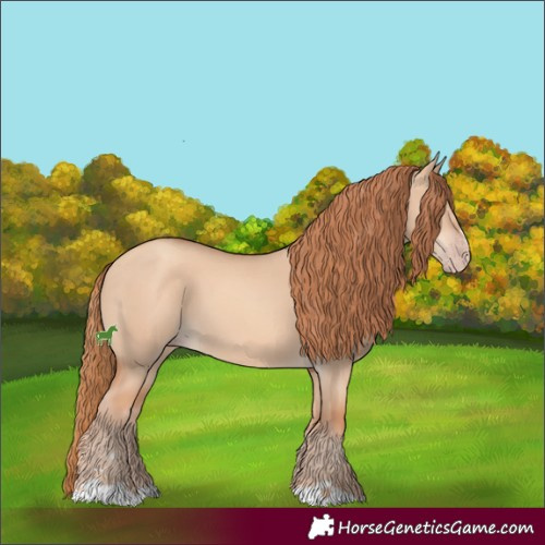 Horse Color:Gold Champagne Dun 