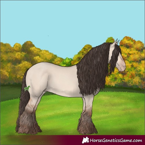 Horse Color:Amber Champagne Dun 