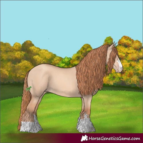 Horse Color:Gold Champagne Dun