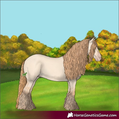 Horse Color:Gold Champagne Dun
