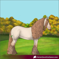 Horse Color:Gold Champagne Dun 
