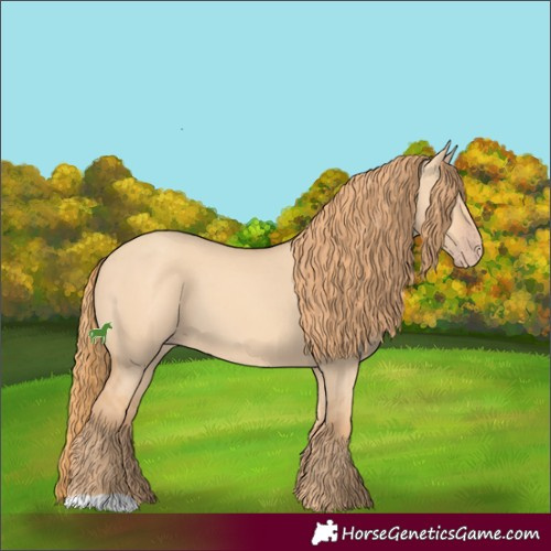 Horse Color:Gold Champagne Dun