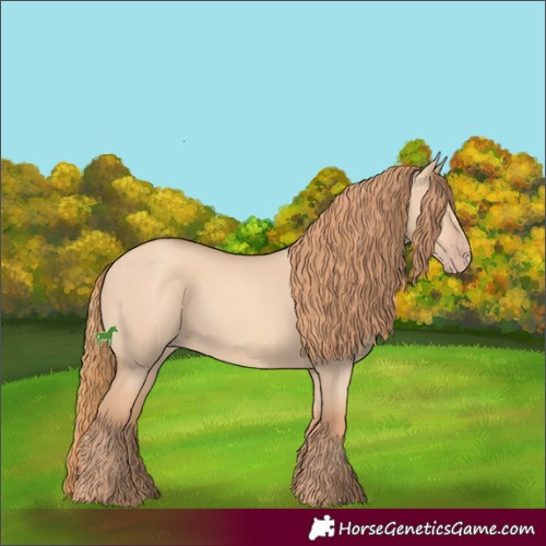 Horse Color:Gold Champagne Dun 