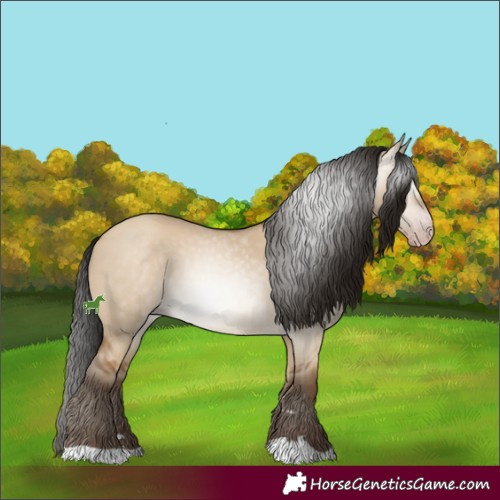 Horse Color:Gray Amber Champagne Dun