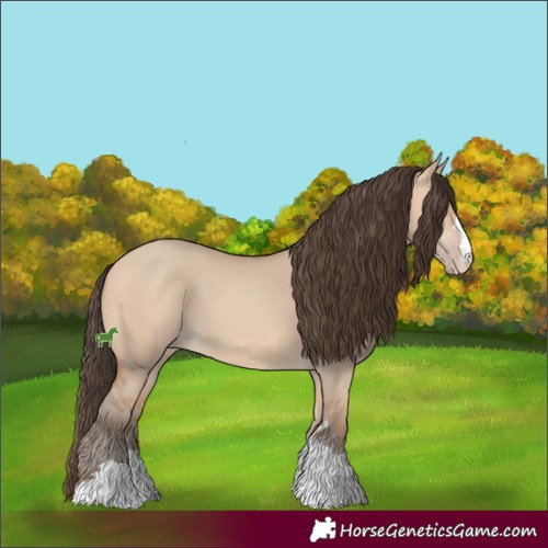 Horse Color:Amber Champagne Dun 