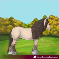 Horse Color:Amber Champagne Dun 