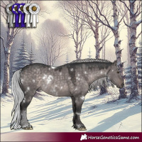 Horse Color:Platinum White Spotted Silver Brown Dun Rabicano