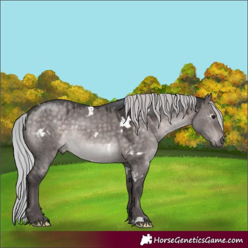 Horse Color:Platinum White Spotted Silver Brown Dun Rabicano 