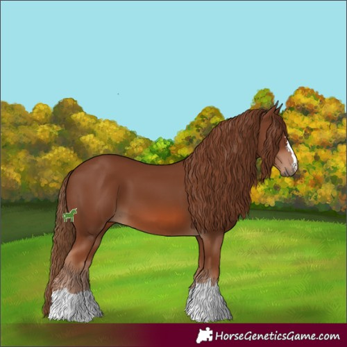 Horse Color:Chestnut 
